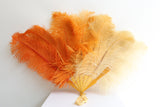 "Sunset Ombré" Vintage 1930's Ombré Ostrich Feather Hand Fan