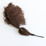 "Deco Ostrich" Vintage 1930's Stylised Brown Ostrich Feather